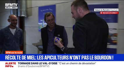 Récolte de miel: un bilan positif pour l'acacia ou le châtaignier, mais mauvais pour la lavande, dans cette entreprise du Vaucluse