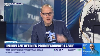 Culture IA : Un implant rétinien pour recouvrer la vue, par Anthony Morel - 21/10