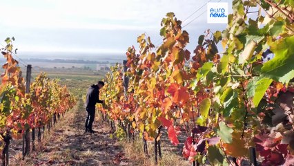 Ειδήσεις | 21 Οκτωβρίου 2025 - Πρωινό δελτίο