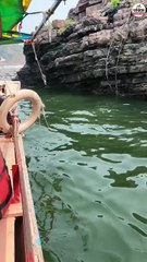 नर्मदाजी में दिखाई दिया मगरमच्छ का बच्चा, स्नान करने वालों में हडक़ंप