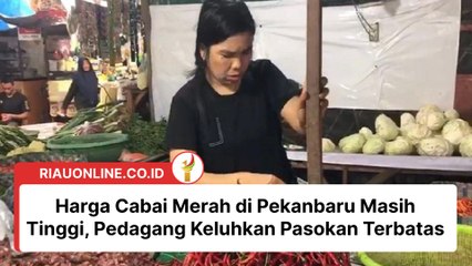 Harga Cabai Merah di Pekanbaru Masih Tinggi, Pedagang Keluhkan Pasokan Terbatas