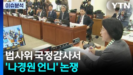 [뉴스퀘어 2PM] 법사위 국정감사서 '나경원 언니' 논쟁 / YTN