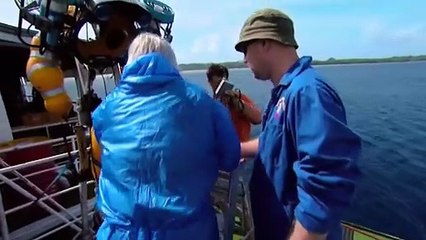 Diving Deep: The Life and Times of Mike deGruy | movie | 2020 | Official Trailer