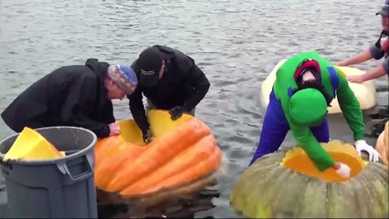 La regata de calabazas gigantes causa sensación en Oregón