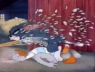 Tom and Jerry with Baby Duck & Mama – Funny and Cute Moments 🐥😂