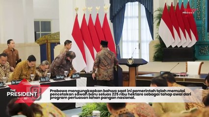 Setahun Pemerintahan Prabowo Cetak Sawah Baru 225 Ribu Hektare, Target 480 Ribu Hektare Tahun Depan