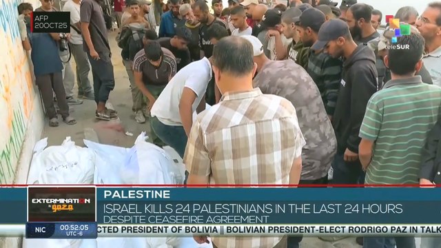 PALESTINE l Israel kills 24 Palestinians in the last 24 hours