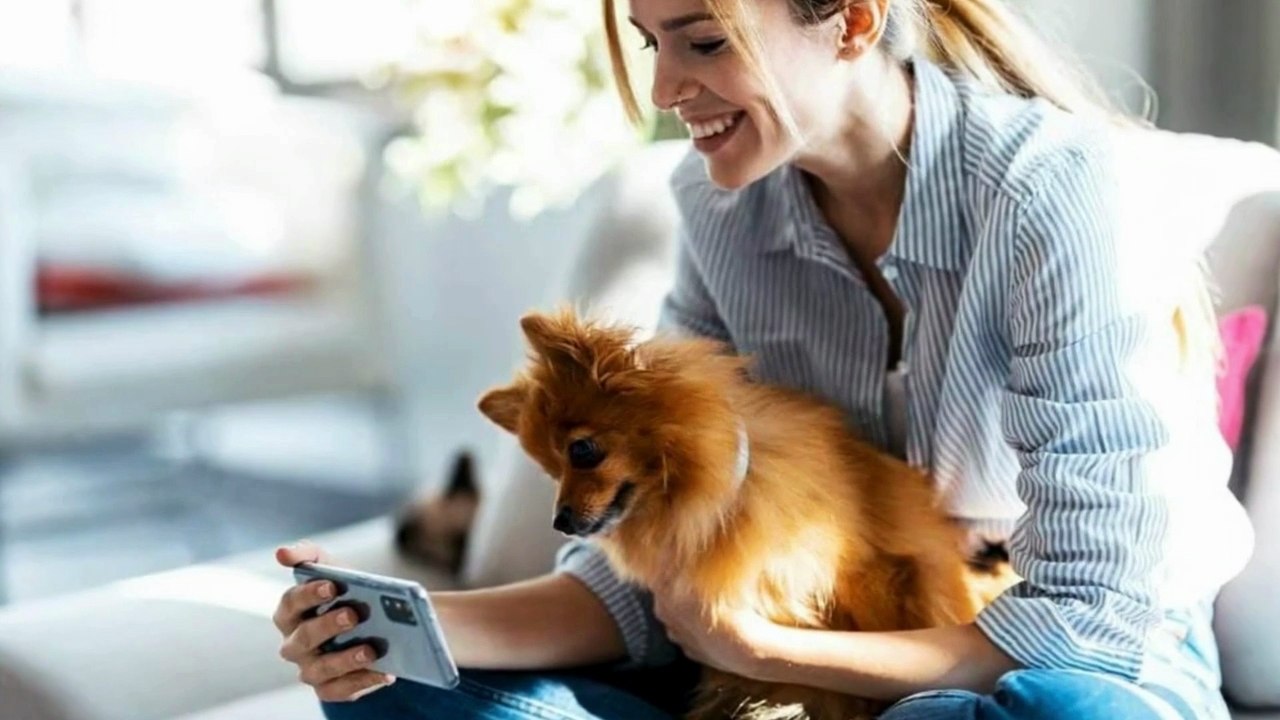 Top 7 Pet Sitters in Sarasota FL – Trusted & Insured Pet Care | Gerrid Smith