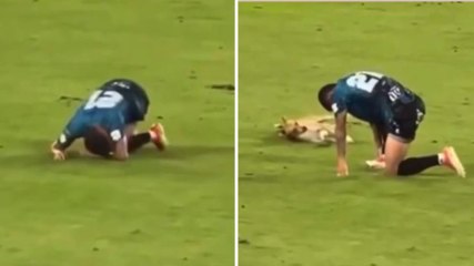 È una scena dolcissima: giocatore a terra, guarda chi arriva in soccorso...