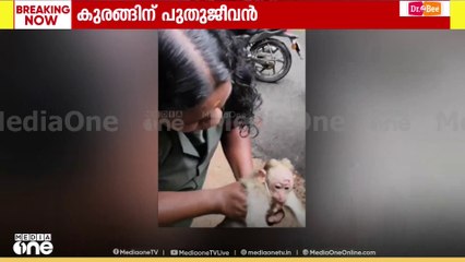 'ജീവനല്ലേ സാറെ...ഷോക്കേറ്റ കുരങ്ങിന് രക്ഷകരായി വന്നത്  വന സംരക്ഷണ സമിതി അം​ഗങ്ങൾ