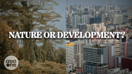 Can Development Coexist with Nature? Exploring Singapore’s Balance 🌱