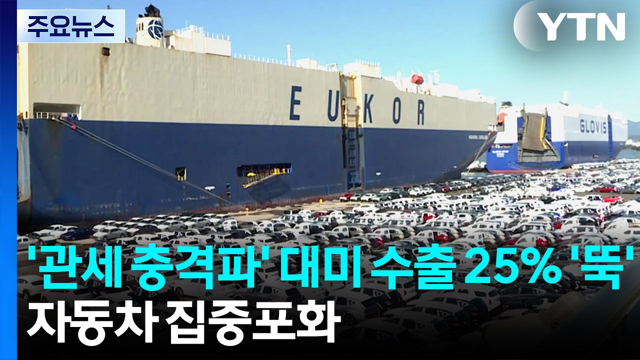 '관세 충격파' 대미 수출 25% '뚝'...자동차 집중포화 / YTN