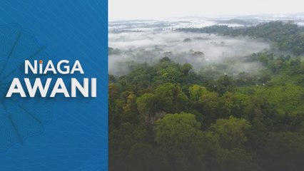 Harga minyak sawit dijangka kekal atas RM4,400