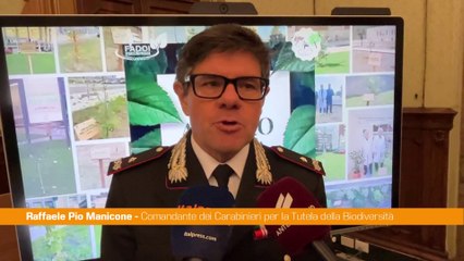 Manicone "La conservazione della natura legata alla salute dell'uomo"