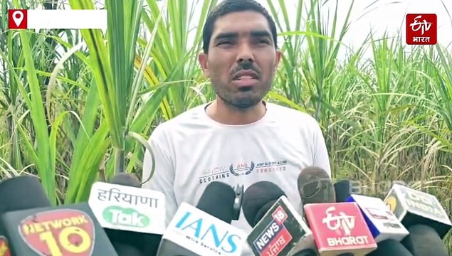 गन्ना किसानों को दीपावली तोहफा, अब 415 रुपये प्रति क्विंटल में खरीदेगी सरकार, नूंह में मिल रहा 500-550 का भाव