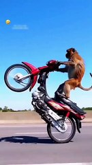 New funny comedy videos,funny days,New funniest co