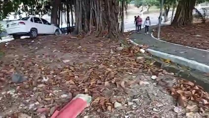 Carro invade canteiro, bate em árvore e quase cai de ribanceira, no Farol