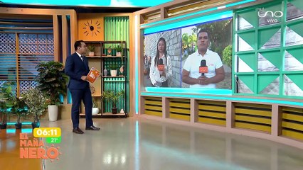 DIRIGENTE DEL TRANSPORTE PESADO