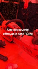 Macabre découverte dans l'Orne : un jardin de l'horreur pour Halloween