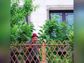 CEO Is Infertile With Any Girl,But The Poor Girl Birth Triplets After 1 Night,Now He Dote On Her! - English Sub