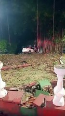 Imagens mostram resgate de motorista que invadiu canteiro e bateu em árvore, no Farol