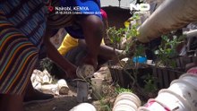 Nubijki w Kenii przywracają tradycję dzięki rolnictwu miejskiemu