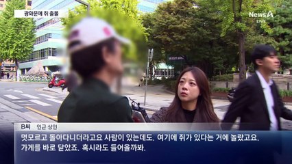 광화문 한복판에 쥐 출몰…“집중 방역”
