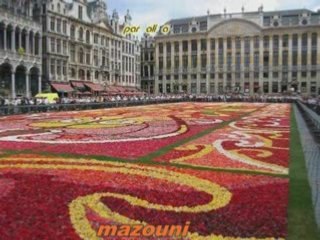 Mazouni carte sejours