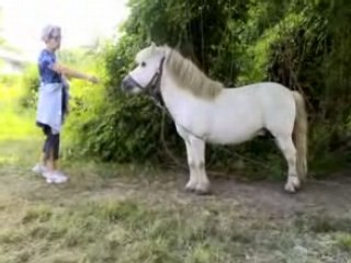 des  poneys  a deux pas de la défense !