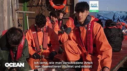 Von spanischen Muschelfarmen zur EU-Politik: Wie Daten Europas blaue Wirtschaft antreiben