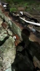 VÍDEO: Muro de escola cai e danifica veículos após fortes chuvas em Salvador