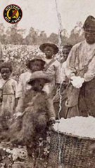 Pourquoi les Africains noirs ?