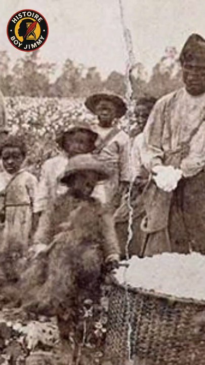 Pourquoi les Africains noirs ?