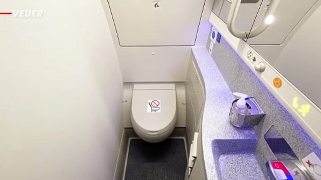 This Might Be The Most Disgusting Thing You’ll See All Day! An overflowing Airplane Toilet!