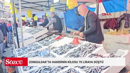 Zonguldak’ta hamsinin kilosu 70 liraya düştü