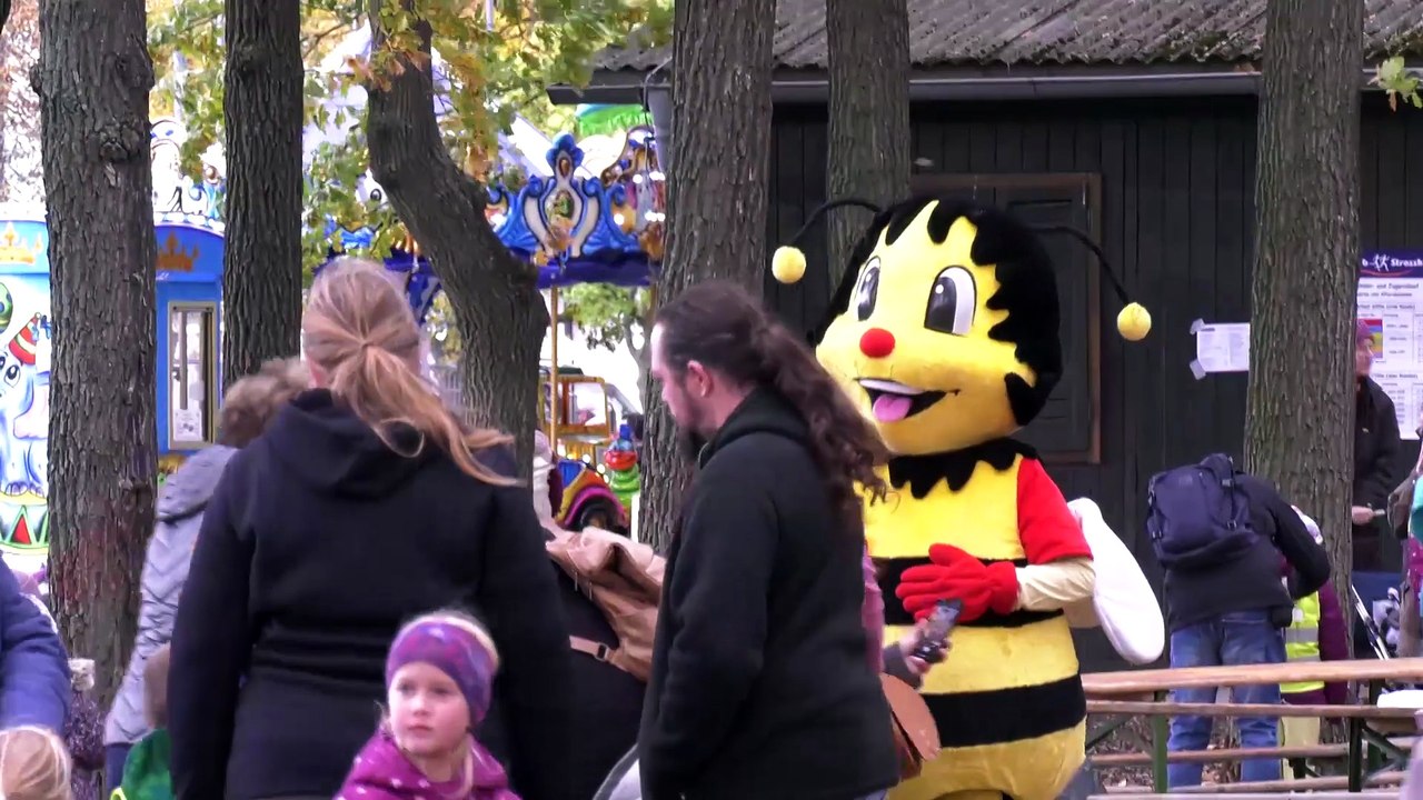 Kinderlauf Strasshof 2025 Herbstlauf