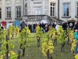 Boën-sur-Lignon inaugure la Route des vins Forez-Roannais en Loire Volcanique - Des communes de Loire Forez - TL7, Télévision loire 7