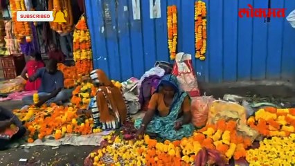 झेंडूच्या फुलला भाव नाही,आधी पावसामुळे मेटातूतील आलेला शेतकरी हवालदिल