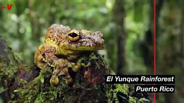 These Are Some Tourist Traps Around the World That Are Actually Worth It