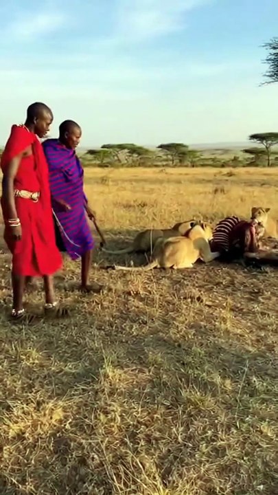 Maasai Tribe Hunting Style | Today's Trending Video