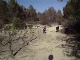 balade de 17h30 caly alter sam titi