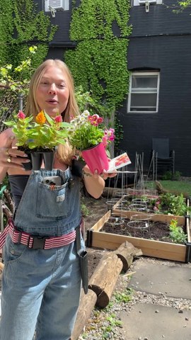 Chaos Gardening