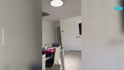 Dad Surprise Kids With Puppy After Family Dog’s Passing