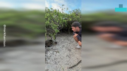 Hilarious Moment Man Has Conversation With Sea Lion