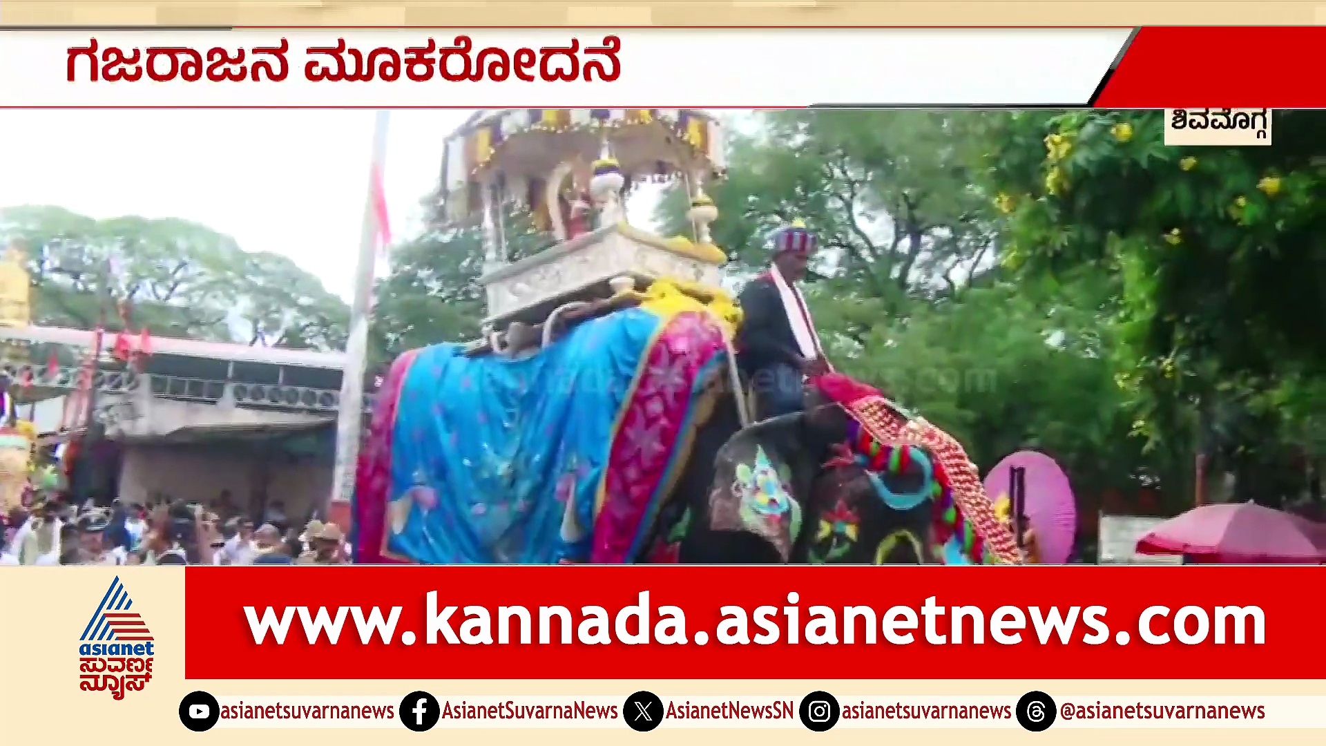 ದಸರಾ ವೈದ್ಯರ ಎಡವಟ್ಟಿಗೆ ಗಜರಾಜನ ಜೀವಕ್ಕೆ ಆಪತ್ತು; ಸಕ್ರೆಬೈಲು ಬಾಲಣ್ಣನ ಮೌನರೋಧನೆ!