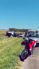 Volcó un camión con cerdos en la Ruta 7 y los vecinos se llevaron la carga