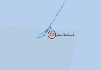 Emergency on Norwegian Jewel: Passenger Overboard Incident 🚢