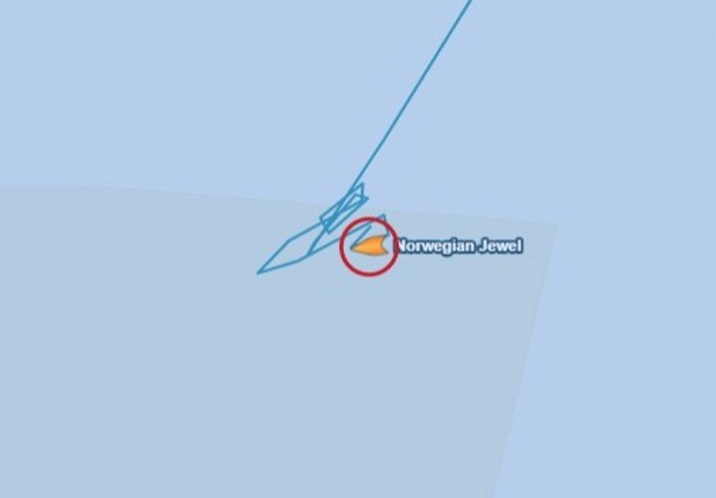 Norwegian Jewel passenger overboard