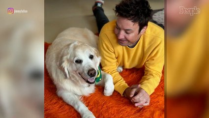 Jimmy Fallon Mourns the Death of His 'First Baby' in Emotional Post: 'Miss You So Much'