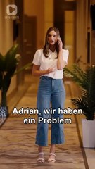 Driven to Love DutchSub #dramashorts